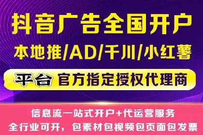 百度竞价推广与SEO结合的策略——以某科技公司为例