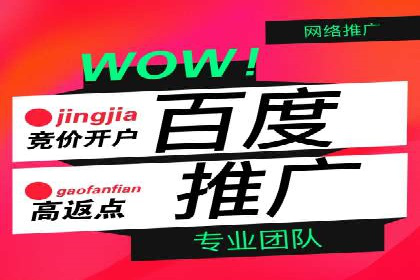 揭秘百度包年竞价优势：成功案例深度解析